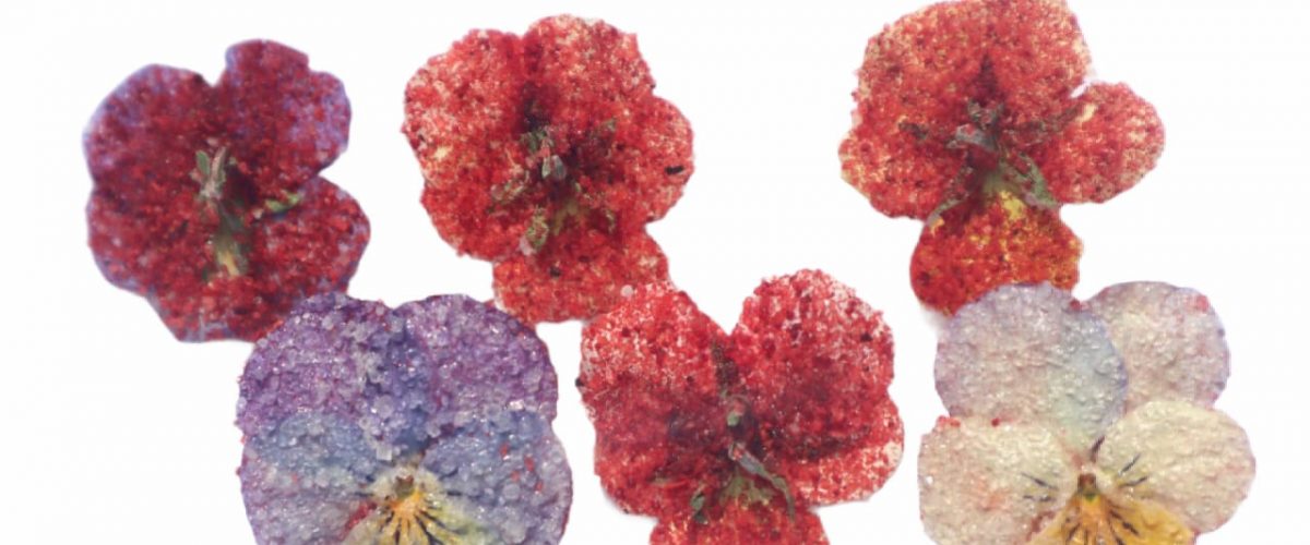 Pensamientos Petite Enchilado – Venta de flores comestibles, donde comprar  flores comestibles, comprar rosas comestibles, distribuidor de flores en  México, envíos de flores comestibles, mercado de flores comestibles, flores  comestibles, plantas ...